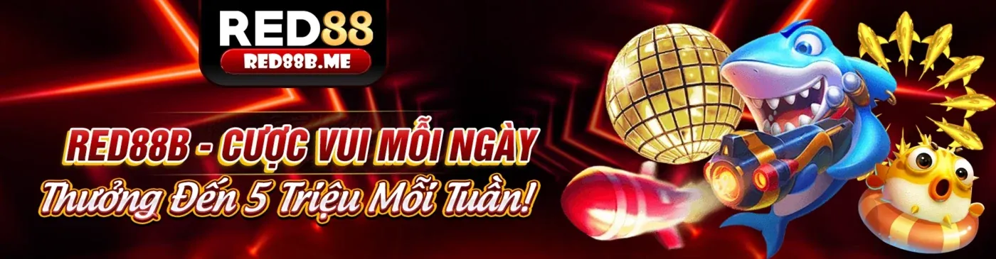 Hình ảnh thể thao b789 sôi động