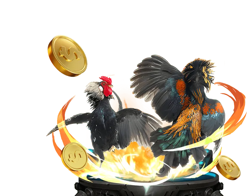 Cá cược thể thao W88